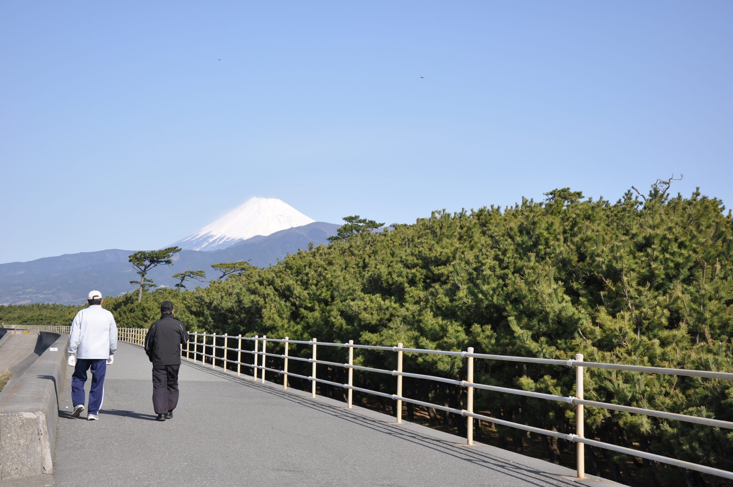 🏞️ 센본하마 공원 이미지 6